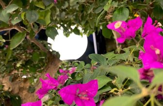 [☕️🇻🇳] Tungbook Coffee Hà Nội 🥤 Top1Coffee ☕️ Một góc chill chill…
, shares-0✔️ , likes-9❤️️ , date-2022-01-28 03:44:33🇻🇳🇻🇳🇻🇳📰🆕