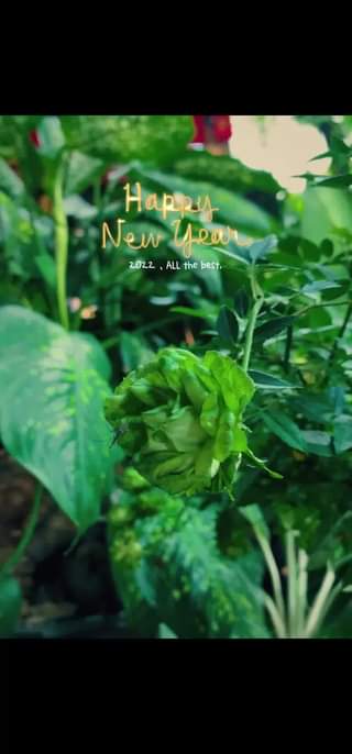 [☕️🇻🇳] Tea and Coffee 1995s Việt Trì 🥤 Top1Coffee ☕️ 1995S GỬI BẠN LỊCH HOẠT ĐỘNG TẾT NGUYÊN ĐÁN 2022Ngoài ra 1995s  có Bộ 3 “Khởi Đầu Năm Mới” cùng không gian ấm cúng thân quen, , shares-6✔️ , likes-345❤️️ , date-2022-01-31 04:33:10🇻🇳🇻🇳🇻🇳📰🆕