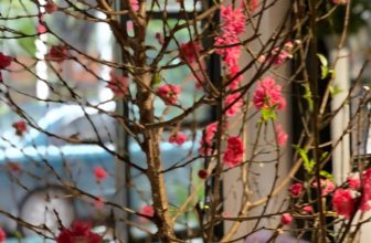 [☕️🇻🇳] Tungbook Coffee Hà Nội 🥤 Top1Coffee ☕️ Hà Nội mùa này, trời không buông nắng…
, shares-0✔️ , likes-1❤️️ , date-2022-02-07 07:49:05🇻🇳🇻🇳🇻🇳📰🆕