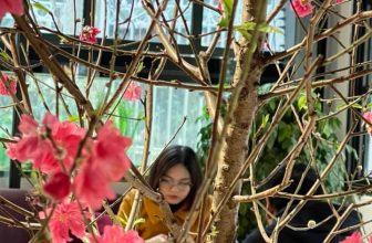 [☕️🇻🇳] Tungbook Coffee Hà Nội 🥤 Top1Coffee ☕️ Tặng ai đó một chút bình yên
Xóa trong ai hết nỗi buồn phiền
Để sớm mai mỗi khi thức dậy
Sống yêu đời, sống thật hồn nhiên.
, shares-0✔️ , likes-9❤️️ , date-2022-02-10 04:17:09🇻🇳🇻🇳🇻🇳📰🆕