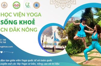 [🆕🇻🇳] Yoga Hoàng Anh – Học Viện Sống Khỏe 🧘 Top1Yoga 🧘  , shares-0✔️ , likes-0❤️️ , date-2022-04-25 14:05:59🇻🇳🇻🇳🇻🇳📰🆕