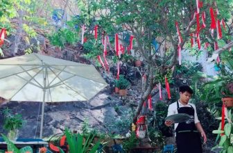 [☕️🇻🇳] LLightroom Coffee 🥤 Top1Coffee ☕️ Năm mới tết đến. Rước hên vào nhà
Quà cáp bao la. Mọi nhà no đủ
Vàng bạc đầy hũ. Gia chủ phát tài
Già trẻ gái trai sum vầy hạnh  , shares-17✔️ , likes-379❤️️ , date-2018-02-14 05:24:44🇻🇳🇻🇳🇻🇳📰🆕