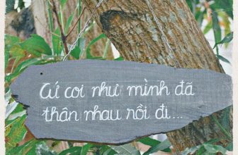 [☕️🇻🇳] 22 phẩy 5 coffee 🥤 Top1Coffee ☕️ Chào một buổi sáng Chủ Nhật đầy ắp hạnh phúc bằng một ly cà phê và một mồi thuốc thân thuộc chứ bạn nhỉ?———
#22phay5coffee
#n , shares-0✔️ , likes-47❤️️ , date-2022-03-20 01:30:02🇻🇳🇻🇳🇻🇳📰🆕