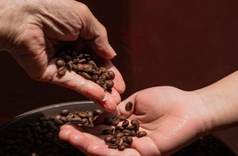 [☕️🇻🇳] ACID8 Specialty Coffee 🥤 Top1Coffee ☕️ VẺ ĐẸP CỦA ĐÔI BÀN TAYTrẻ con học những điều mới bằng cách chạm tay vào tất cả mọi thứ. Bàn tay của một người già cho ta biết  , shares-0✔️ , likes-30❤️️ , date-2022-05-18 02:00:03🇻🇳🇻🇳🇻🇳📰🆕