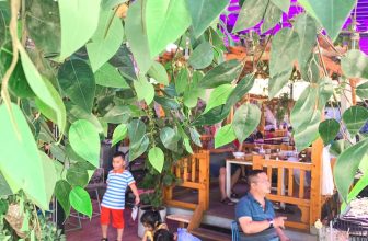 [☕️🇻🇳] Koilands Coffee 🥤 Top1Coffee ☕️ 𝑺𝒂̀𝒊 𝑮𝒐̀𝒏 𝒃𝒂̂́𝒕 𝒄𝒉𝒐̛̣𝒕 𝒏𝒉𝒖̛̃𝒏𝒈 𝒄𝒐̛𝒏 𝒈𝒊𝒐̂𝒏𝒈
𝑴𝒖̛𝒂 𝒓𝒐̛𝒊 𝒕𝒓𝒐𝒏𝒈 𝒏𝒂̆́𝒏𝒈 đ𝒂̂́𝒕 𝒕𝒉𝒐̛𝒎 𝒏𝒐̂̀𝒏𝒈
𝑳𝒂̆́𝒏𝒈 𝒅𝒊̣𝒖 𝒃𝒂̂̀𝒖 𝒕𝒓𝒐̛̀𝒊 đ𝒂𝒏𝒈 𝒐𝒊 𝒃𝒖̛́𝒄
𝑻 , shares-1✔️ , likes-15❤️️ , date-2022-06-02 08:45:15🇻🇳🇻🇳🇻🇳📰🆕