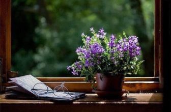 [☕️🇻🇳] Paris Coffee 🥤 Top1Coffee ☕️ Chuyện thế nhân
CHUYỆN THẾ NHÂN
Bạn thân hỡi giữa thế giới bao la
Mình cứ sống cuộc đời mình là đủ
, shares-0✔️ , likes-0❤️️ , date-2022-06-30 10:21:43🇻🇳🇻🇳🇻🇳📰🆕