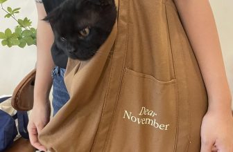 [☕️🇻🇳] Dear November Coffee 🥤 Top1Coffee ☕️ New in house!!! Hàng mới về nhưng model có vẻ chưa sẵn sàng lắm
———————————————
Dear November Coffee
:
CS1: cuối ngõ 59 Chùa , shares-1✔️ , likes-15❤️️ , date-2022-07-06 03:40:03🇻🇳🇻🇳🇻🇳📰🆕