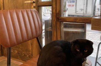 [☕️🇻🇳] Dear November Coffee 🥤 Top1Coffee ☕️ Cuối tuần chill như mèo meo
———————————————
Dear November Coffee
:
CS1: cuối ngõ 59 Chùa Láng
CS2: 61 Linh Lang
: 8:30 – 2 , shares-0✔️ , likes-9❤️️ , date-2022-07-09 05:02:42🇻🇳🇻🇳🇻🇳📰🆕