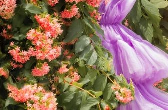 [☕️🇻🇳] Paris Coffee 🥤 Top1Coffee ☕️ Bảo không nhớ
Bảo không nhớ nhưng thực là rất nhớ
Chẳng thể nào dối gạt được trái tim
Bảo người hỏi thì hãy cứ lặng im
Sao cả , shares-0✔️ , likes-0❤️️ , date-2022-07-08 03:38:14🇻🇳🇻🇳🇻🇳📰🆕