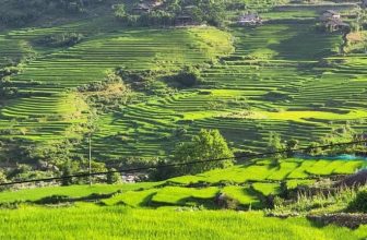 [☕️🇻🇳] La Dao Spa – Coffee House, homestay 🥤 Top1Coffee ☕️ Thật sự rất rất tiếc cho những ai đến Sapa thời điểm này mà không đi thăm quan bản Tả Van – Thung lũng Mường Hoa . Không có lời  , shares-1✔️ , likes-36❤️️ , date-2022-08-04 04:11:27🇻🇳🇻🇳🇻🇳📰🆕