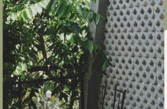 [☕️🇻🇳] An’s Garden Café 🥤 Top1Coffee ☕️ GÓC BAN CÔNG VƯỜN AN’Vào mùa nắng oi ả, góc ban công của AN’ đôi khi bị lãng quên bởi thời tiết khó chịu. Khoảng sân thiếu đi , shares-0✔️ , likes-1❤️️ , date-2022-08-20 03:30:00🇻🇳🇻🇳🇻🇳📰🆕