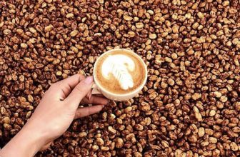 [☕️🇻🇳] All Day Coffee 🥤 Top1Coffee ☕️ Ly cà phê hoàn hảo là chặng đường cuối của một hành trình dài, từ trên những cao nguyên cà phê, khi từng hạt giống được ươm mầm  , shares-0✔️ , likes-24❤️️ , date-2022-09-15 07:30:01🇻🇳🇻🇳🇻🇳📰🆕