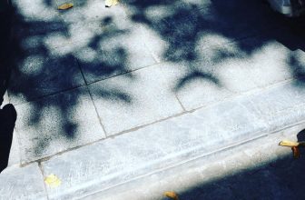 [☕️🇻🇳] Blackbird Coffee 🥤 Top1Coffee ☕️ hà nội là..
, shares-9✔️ , likes-127❤️️ , date-2022-10-17 03:59:32🇻🇳🇻🇳🇻🇳📰🆕