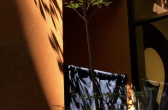 [☕️🇻🇳] Blackbird Coffee 🥤 Top1Coffee ☕️ những ngày không cần dùng lời, vì không lời nào tả được.
, shares-2✔️ , likes-95❤️️ , date-2022-10-16 09:53:40🇻🇳🇻🇳🇻🇳📰🆕