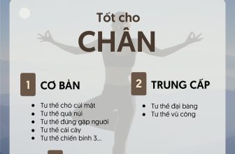 [🆕🇻🇳] Aerial Yoga Vietnam 🧘 Top1Yoga 🧘 Chị em tham khảo những bài tập tốt cho cơ thể OM gợi ý dưới đây nhé!
#omfactory #yoga #yogatham
, shares-2✔️ , likes-0❤️️ , date-2022-10-25 03:01:43🇻🇳🇻🇳🇻🇳📰🆕
