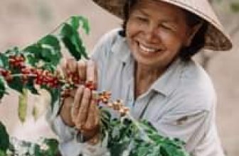 [☕️🇻🇳] Kai Coffee – Phong cách Âu – Mỹ 🥤 Top1Coffee ☕️ Chúc bạn ngày Phụ Nữ Việt Nam 20/10 với sự rực rỡ, niềm vui, và hạnh phúc  Mong bạn nhận được thật nhiều những yêu thương ngọt n , shares-0✔️ , likes-99❤️️ , date-2022-10-20 02:56:21🇻🇳🇻🇳🇻🇳📰🆕