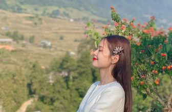 [☕️🇻🇳] La Dao Spa – Coffee House, homestay 🥤 Top1Coffee ☕️ Góc bình yên – La Dao Spa & Cafe Khi những áp lực cuộc sống đè nặng lên đôi vai, ta thường tìm về những nơi yên tĩnh và nhẹ  , shares-0✔️ , likes-40❤️️ , date-2022-10-27 09:18:49🇻🇳🇻🇳🇻🇳📰🆕