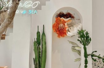 [☕️🇻🇳] MINGO coffee 🥤 Top1Coffee ☕️ Khi bạn còn trẻ trung phơi phới, có người luôn ở bên bạn, điều đó không tính là gì, điều đáng quý là, đến khi bạn đã về già, ngư , shares-0✔️ , likes-5❤️️ , date-2022-11-06 13:23:26🇻🇳🇻🇳🇻🇳📰🆕