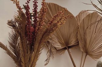 [☕️🇻🇳] MINGO coffee 🥤 Top1Coffee ☕️ “ Cuộc sống chưa bao giờ có cơ hội được lựa chọn lại, nên ngay lúc này hãy ôm chặt lấy thời gian tươi đẹp nhất của chúng ta “
__ , shares-1✔️ , likes-5❤️️ , date-2022-11-09 12:02:10🇻🇳🇻🇳🇻🇳📰🆕