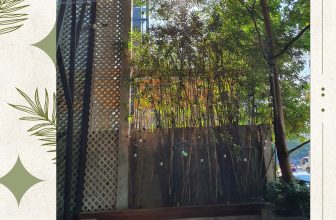 [☕️🇻🇳] An’s Garden Café 🥤 Top1Coffee ☕️ SẮC XANH NGẬP TRÀN TRONG KHÔNG GIAN THÁNG 11 CỦA AN’Tháng 11 dịu ngọt thu cuối, cây lá cũng chuyển màu đổi sắc, chỉ có hoa tư , shares-0✔️ , likes-1❤️️ , date-2022-11-04 07:30:01🇻🇳🇻🇳🇻🇳📰🆕