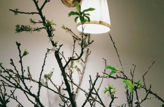 [☕️🇻🇳]  De.TẦM Cafe – Coffee – Bistro 🥤 Top1Coffee ☕️ Chạy qua chạy lại cũng đã tới cảm giác cuối năm, Tết sớm đã về tại de.Tầm. Một không khí Việt tinh tế trong ngôi biệt thự cổ, sự , shares-0✔️ , likes-16❤️️ , date-2022-11-12 06:10:28🇻🇳🇻🇳🇻🇳📰🆕