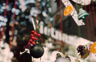 [☕️🇻🇳] Blackbird Coffee 🥤 Top1Coffee ☕️ hôm nay Lãn Ông xin phép chốt order sớm, lúc 18.00, để dọn dẹp tổng vệ sinh cửa hàng và bắt đầu sửa soạn trang trí Giáng Sinh dầ , shares-0✔️ , likes-36❤️️ , date-2022-11-21 03:40:14🇻🇳🇻🇳🇻🇳📰🆕