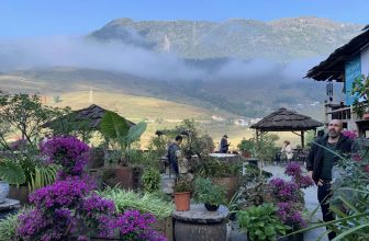 [☕️🇻🇳] La Dao Spa – Coffee House, homestay 🥤 Top1Coffee ☕️ Đẹp nhức nhối
, shares-1✔️ , likes-44❤️️ , date-2022-12-04 08:00:53🇻🇳🇻🇳🇻🇳📰🆕