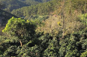 [☕️🇻🇳] Kafeville – Espresso and hand craft coffee bar 🥤 Top1Coffee ☕️ [THÔNG BÁO]
Quán sẽ đóng cửa vào lúc 14h30 ngày thứ 2 và nghỉ bán hàng ngày 13,14,15/12. Sau 2 năm gián đoạn do covid, năm nay  , shares-2✔️ , likes-32❤️️ , date-2022-12-11 07:43:06🇻🇳🇻🇳🇻🇳📰🆕