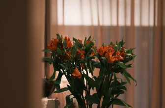 [☕️🇻🇳] 15.22 café – wine – live music ☕️ Top1Coffee ☕️ Ngày hoa nở
#1522cafe
#saigoncoffee
@mokuin
, shares-0✔️ , likes-6❤️️ , date-2022-12-13 11:18:57🇻🇳🇻🇳🇻🇳📰🆕