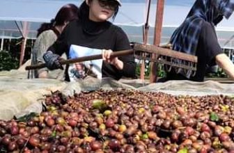 [☕️🇻🇳] Kafeville – Espresso and hand craft coffee bar 🥤 Top1Coffee ☕️  , shares-0✔️ , likes-0❤️️ , date-2022-12-13 06:53:10🇻🇳🇻🇳🇻🇳📰🆕