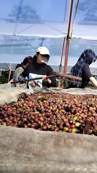 [🆕🇻🇳]  KIDS Zone – Thời Trang Dành Cho Bé 😎❤️️⭐️  , shares-0✔️ , likes-6❤️️ , date-2022-12-13 07:42:26🇻🇳🇻🇳🇻🇳📰🆕