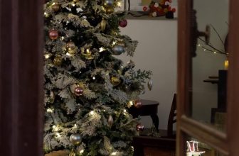 [☕️🇻🇳]  De.TẦM Cafe – Coffee – Bistro 🥤 Top1Coffee ☕️ Năng lượng của những ngày gần Giáng Sinh đong đầy một sân nắng. Bao bọc tháng 12 ngày vẫn kéo dài, đậm sánh của màu Latte, thơm  , shares-0✔️ , likes-28❤️️ , date-2022-12-21 07:48:27🇻🇳🇻🇳🇻🇳📰🆕