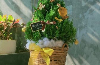 [☕️🇻🇳] Hello Coffee – Quán cà phê Internet Thành Phố Huế 🥤 Top1Coffee ☕️ ” Merry Christmas ”
Lại một mùa giáng sinh nữa về với Hello. Lô mong những điều tốt đẹp nhất sẽ đến với các bạn và những người  , shares-1✔️ , likes-28❤️️ , date-2022-12-24 04:07:44🇻🇳🇻🇳🇻🇳📰🆕