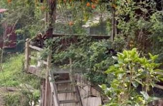 [☕️🇻🇳] La Dao Spa – Coffee House, homestay 🥤 Top1Coffee ☕️ Sắc màu mơ màng giữa bản làng
, shares-0✔️ , likes-6❤️️ , date-2022-12-26 08:07:57🇻🇳🇻🇳🇻🇳📰🆕