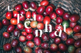 [☕️🇻🇳] The Comma coffee 🥤 Top1Coffee ☕️ Về lịch nghỉ và mở cửa Tết Quý Mão, The Comma xin gửi tới bạn chi tiết như sau.Chúng mình sẽ đóng cửa từ ngày 18/01 (27 Tết)  , shares-0✔️ , likes-2❤️️ , date-2023-01-17 03:00:05🇻🇳🇻🇳🇻🇳📰🆕