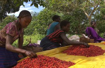 [☕️🇻🇳] Capella Specialty Coffee 🥤 Top1Coffee ☕️ Tết đang đến rồi!!!
một ly caphe thơm lừng với gia đình, bạn bè và người thân những ngày tết sum vầy nào!!
Cập nhật những mẽ ran , shares-3✔️ , likes-12❤️️ , date-2023-01-15 14:02:18🇻🇳🇻🇳🇻🇳📰🆕