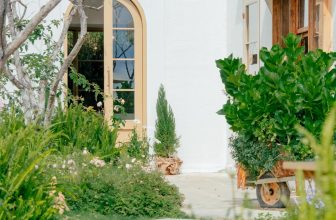 [☕️🇻🇳] Anaiis Concept – Café 🥤 Top1Coffee ☕️ NGÀY MAI ANAIIS ĐÓN KHÁCH TRỞ LẠIĐối với chúng mình, chăm lo cho Anaiis không bao giờ là đủ cả, đặc biệt là việc gìn giữ và nâ , shares-1✔️ , likes-27❤️️ , date-2023-01-22 14:13:20🇻🇳🇻🇳🇻🇳📰🆕