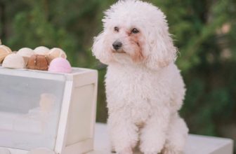 [☕️🇻🇳] Anaiis Concept – Café 🥤 Top1Coffee ☕️ Tỉnh dậy đã là năm mới. Thấy mình tươi mới, thấy bao nhiêu khó khăn trôi qua hết, thấy mình còn ngon lành, còn sức để đi tiếp… , shares-2✔️ , likes-12❤️️ , date-2023-01-27 14:23:56🇻🇳🇻🇳🇻🇳📰🆕