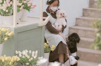 [☕️🇻🇳] Anaiis Concept – Café 🥤 Top1Coffee ☕️ 𝗧𝘂𝗹𝗶𝗽Tulip có đến hơn 150 loài khác nhau cùng nhiều màu sắc đa dạng. Sự đa sắc màu như biểu tượng cho cuộc sống, cho con người , shares-2✔️ , likes-36❤️️ , date-2023-02-01 02:56:59🇻🇳🇻🇳🇻🇳📰🆕