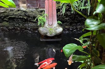 [☕️🇻🇳] La Dao Spa – Coffee House, homestay 🥤 Top1Coffee ☕️ Quý khách đã trải nghiệm ngâm lá thuốc tươi, massage với những thanh gỗ, hay nhâm nhi ly trà ly cà phê, nghỉ 1 đêm tại home stay , shares-1✔️ , likes-27❤️️ , date-2023-02-05 06:13:39🇻🇳🇻🇳🇻🇳📰🆕