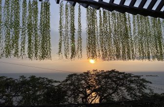 [☕️🇻🇳] Wonders Coffee and Homestay 🥤 Top1Coffee ☕️  Bánh ngon, nước thơm, view thơ mộng
Hẹn hò cuối ngày còn đâu lý tưởng hơn Wonders CoffeeBánh Wonders ngon, trà Wonders thơ , shares-40✔️ , likes-26❤️️ , date-2023-03-10 03:30:02🇻🇳🇻🇳🇻🇳📰🆕