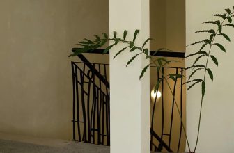 [☕️🇻🇳]  Danshari Coffee 🥤 Top1Coffee ☕️ Đan xen giữa nhịp sống hối hả tại trung tâm thành phố thì đâu đó tại Danshari Coffee Phan Kế Bính vẫn lưu giữ một nét đẹp mang m , shares-0✔️ , likes-18❤️️ , date-2023-02-11 07:28:46🇻🇳🇻🇳🇻🇳📰🆕