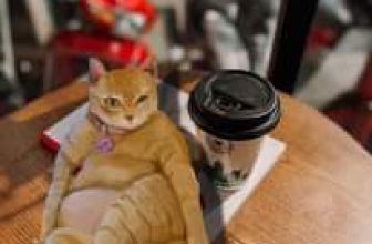 [☕️🇻🇳] Kai Coffee – Phong cách Âu – Mỹ 🥤 Top1Coffee ☕️ Cuối tuần vẫn chạy đét lai  Mỹ Dịu mợttttt
_____________________
#KAICoffee #Open247
▌Find our stores at:
, shares-3✔️ , likes-524❤️️ , date-2023-03-04 08:01:25🇻🇳🇻🇳🇻🇳📰🆕