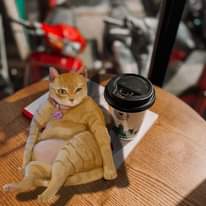 [☕️🇻🇳] Kai Coffee – Phong cách Âu – Mỹ 🥤 Top1Coffee ☕️ Cuối tuần vẫn chạy đét lai  Mỹ Dịu mợttttt 
 _____________________
#KAICoffee #Open247
 ▌Find our stores at: 
 , shares-3✔️ , likes-524❤️️ , date-2023-03-04 08:01:25🇻🇳🇻🇳🇻🇳📰🆕