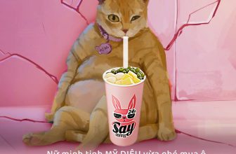 [☕️🇻🇳] Say Coffee Tea – Dessert  🥤 Top1Coffee ☕️ Một sự bất ngờ cho SAY, mong topping sẽ không văng lên đọt ổi như lời đồn thổi. Có chị em nào lúc mua ô long giá dùng thử gặp đư , shares-2✔️ , likes-323❤️️ , date-2023-03-03 05:14:40🇻🇳🇻🇳🇻🇳📰🆕