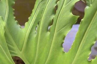 [☕️🇻🇳] Coffee HUỲNH HƯƠNG 🥤 Top1Coffee ☕️ Sáng Chủ Nhật tại COFFEE HUỲNH HƯƠNG  Tuần lễ áo dài Chị Em cần tìm một nơi check in phù hợp thì đến ngay COFFEE HUỲNH HƯƠNG nhé , shares-0✔️ , likes-18❤️️ , date-2023-03-05 02:33:26🇻🇳🇻🇳🇻🇳📰🆕