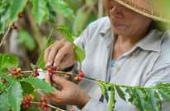 [☕️🇻🇳] Kai Coffee – Phong cách Âu – Mỹ 🥤 Top1Coffee ☕️ Chúc bạn ngày Quốc Tế Phụ Nữ – 8/3 với sự rực rỡ, niềm vui, và hạnh phúc  Mong bạn nhận được thật nhiều những yêu thương ngọt ng , shares-0✔️ , likes-116❤️️ , date-2023-03-08 04:10:47🇻🇳🇻🇳🇻🇳📰🆕