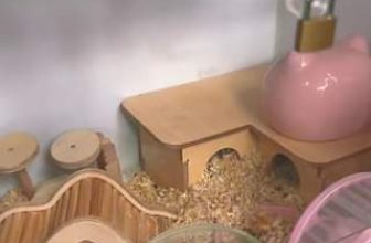 [☕️🇻🇳] Coffee HUỲNH HƯƠNG 🥤 Top1Coffee ☕️ Khám phá thêm trong Video
, shares-0✔️ , likes-7❤️️ , date-2023-03-19 04:30:42🇻🇳🇻🇳🇻🇳📰🆕