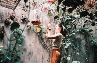 [☕️🇻🇳] BỤI Coffee Chill – Plants 🥤 Top1Coffee ☕️ Ai sẽ vì ta mà ở lại
Nắm tay ta qua ngày giông gió,
Ôm chặt ta giữa bộn bề than thở
Và thương ta đến cuối cùng…
#Airồicũngk , shares-3✔️ , likes-77❤️️ , date-2023-04-02 05:42:45🇻🇳🇻🇳🇻🇳📰🆕