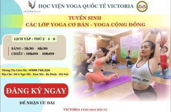 [🆕🇻🇳] Học Viện Yoga Quốc Tế Victoria 🧘 Top1Yoga 🧘  Học Viện Yoga Quốc Tế Victoria
Thông BáoTuyển sinh các lớp Yoga Cơ Bản – Yoga Cộng Đồng
Với lịch tập t , shares-0✔️ , likes-14❤️️ , date-2023-04-05 02:09:25🇻🇳🇻🇳🇻🇳📰🆕